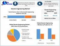 Genetic Engineering Market is expected to Reach USD 4.56 billion by 2029