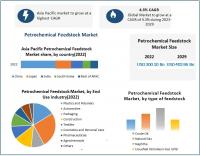 Petrochemical Feedstock Market expected to Reach USD 402.95 Billion by 2029 at a CAGR of 4.3 percent